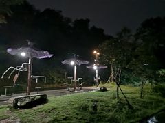 -青龙山国家森林公园