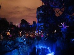 -奥兰多迪士尼动物王国乐园