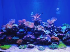 -青岛海底世界-水族馆