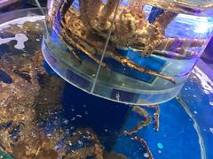 -新海渔港·胶东海鲜家常菜·家宴(奥体中心店)