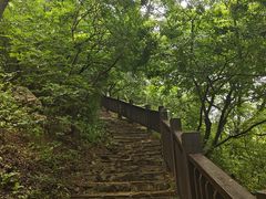 -大连植物园