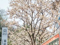 -花溪公园