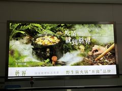 -蘑界·野生菌火锅(深业上城店)