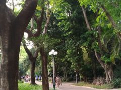 -人民公园(罗湖区)