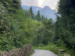 -九峰山