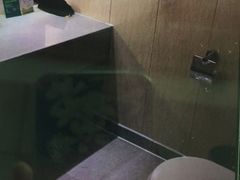 -西安绿地假日酒店