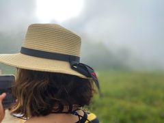 -白草畔自然风景区