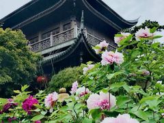 -龙华寺