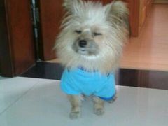 合肥南站-合肥南站