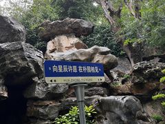-朴园