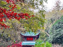 -岳麓山风景名胜区