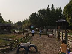 -田园东方蜜桃村的田野营地