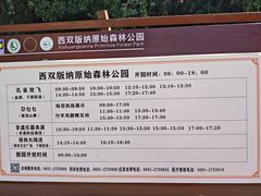 -西双版纳原始森林公园