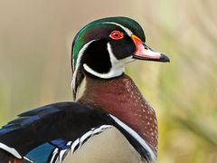 -东华大学第一食堂(松江校区店)