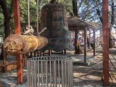 -北海金海湾红树林生态旅游区