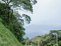 -黄埔油麻山森林公园