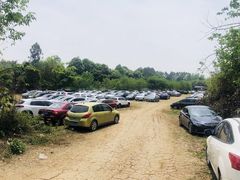 -三圣花乡旅游区