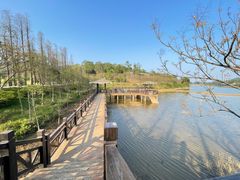 -叱石风景区