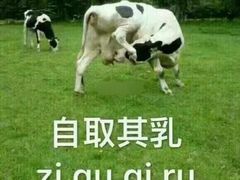 -蓬皮杜艺术中心