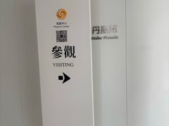 -凤凰中心