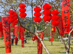 -广西壮族自治区药用植物园