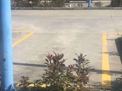 -安飞驰驾校·学车连锁(金高店)