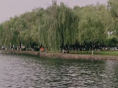 -武昌江滩