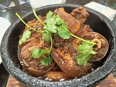 -万年酒楼(越秀南路店)