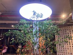 -喜马拉雅森(运河汇1958店)