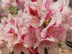 -名花谷生态庄园