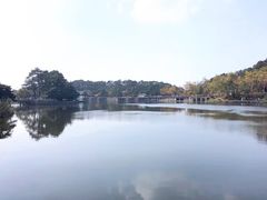 -庐山风景区花径公园