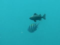 -亚龙湾海底世界