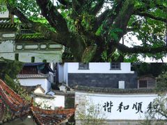 -和顺古镇