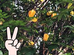 -天河儿童公园