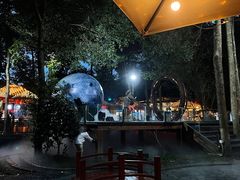 -二荆条·蜀鲜汇城市森林火锅
