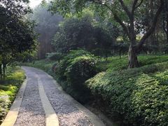 -大渡口区义渡公园