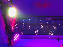 -好久不见网红乐队酒吧(鼓浪屿海底世界店)