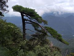 -三清山风景名胜区