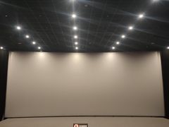 -和平电影院