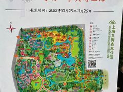 -上海共青森林公园