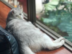 -咖法森林·咖啡  酒吧(天河店)