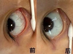 -薇薇安花系SPA