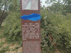 -黄河小浪底水利枢纽风景区