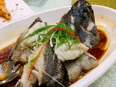 珍珠龙胆-华兴大酒楼(亿宝大厦店)