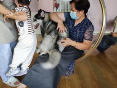 -Husky Go! 哈士奇体验馆·宠物咖啡厅狗咖