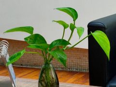 -奔驰利星行(北京花乡店)