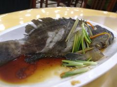 -春园海鲜广场D区6号(钟姐海鲜加工店)