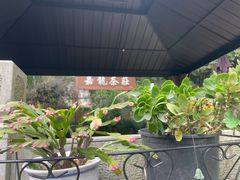 -嘉龙茶庄