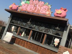 -田园东方蜜桃村的田野营地