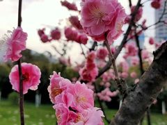 -唐城墙遗址公园
